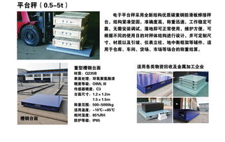 天津西青食品廠3噸電子地磅秤應(yīng)用方案 儀器儀表之選